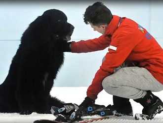 Buddy the Snowboarding Dog